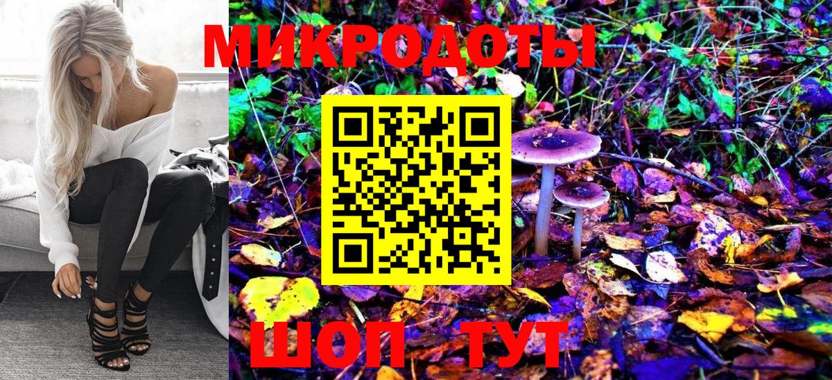 Галлюциногенные грибы Psilocybine cubensis Михайловка